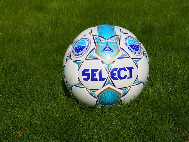 去年供销合作社系统农业社会化服务规模首破3亿亩次.