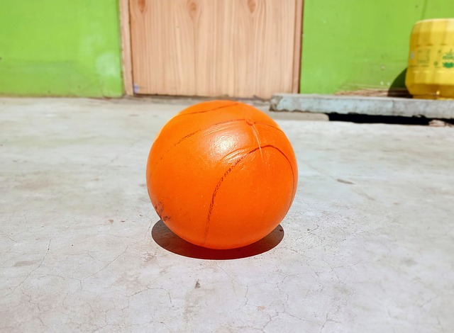 刘女士：双向合同球员——湖人是否对古德温抱有过高期望.